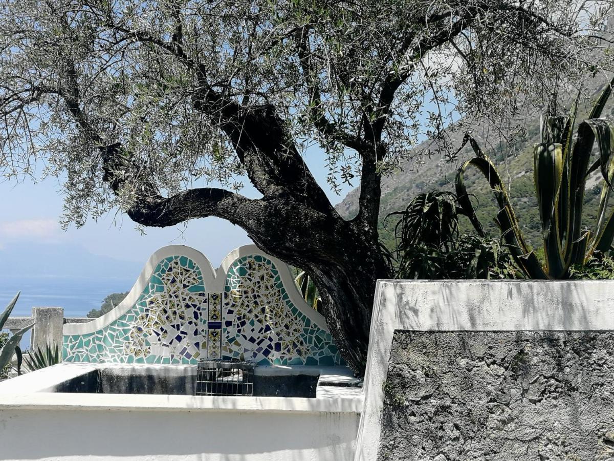 Villa Venezuela 1° Piano Maratea Exteriör bild